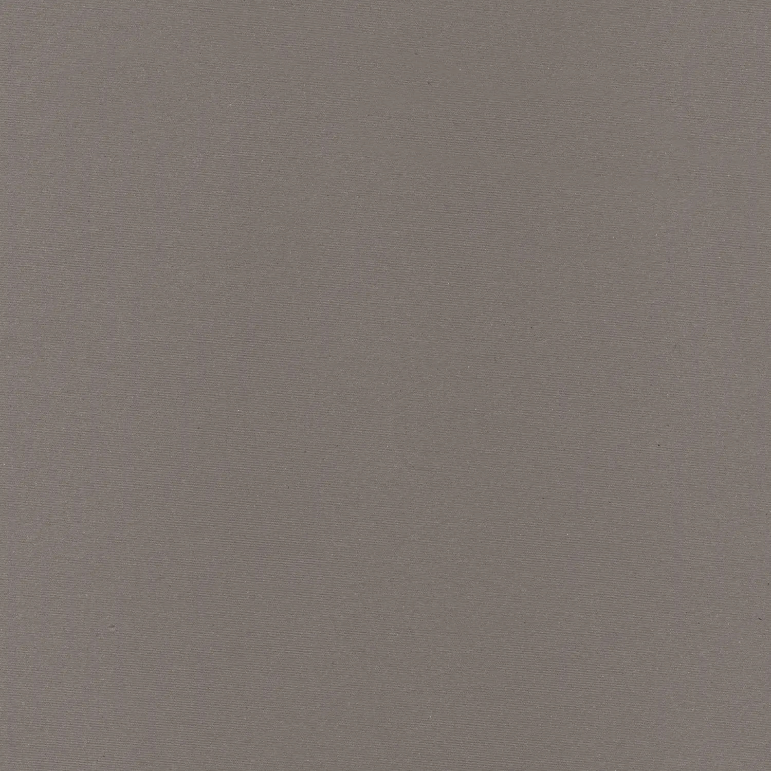Taupe 066 | Eclipse