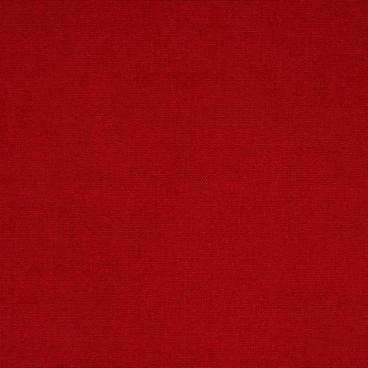 Ruby 04 | Elan