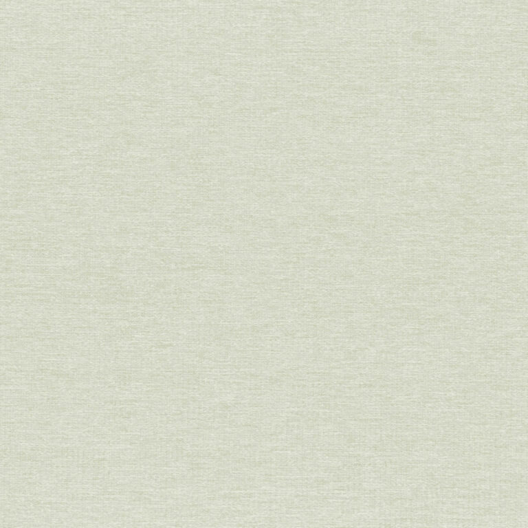 Pumice Stone 20
