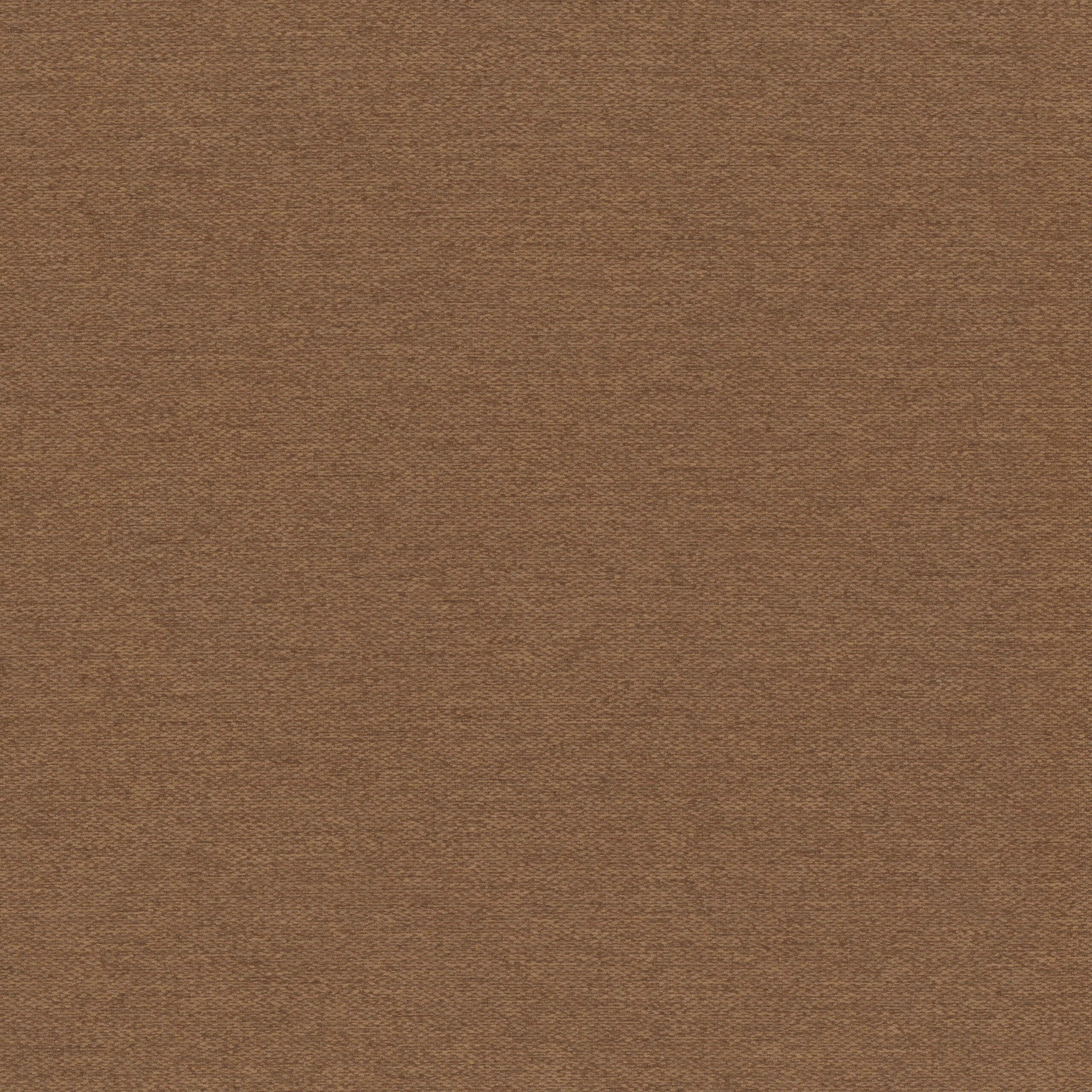 Glazed Ginger 50 | Elara