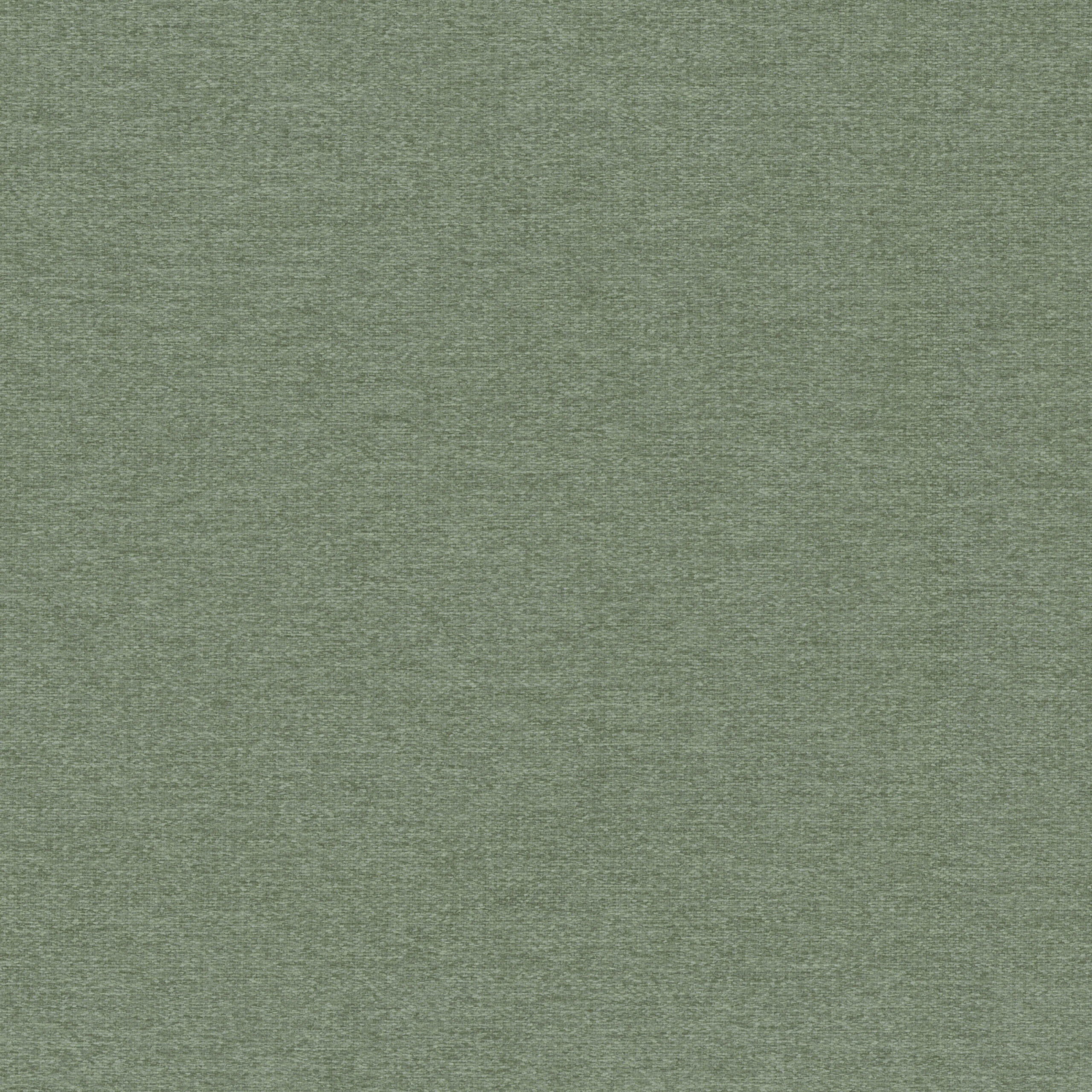 Olivine 55 | Elara