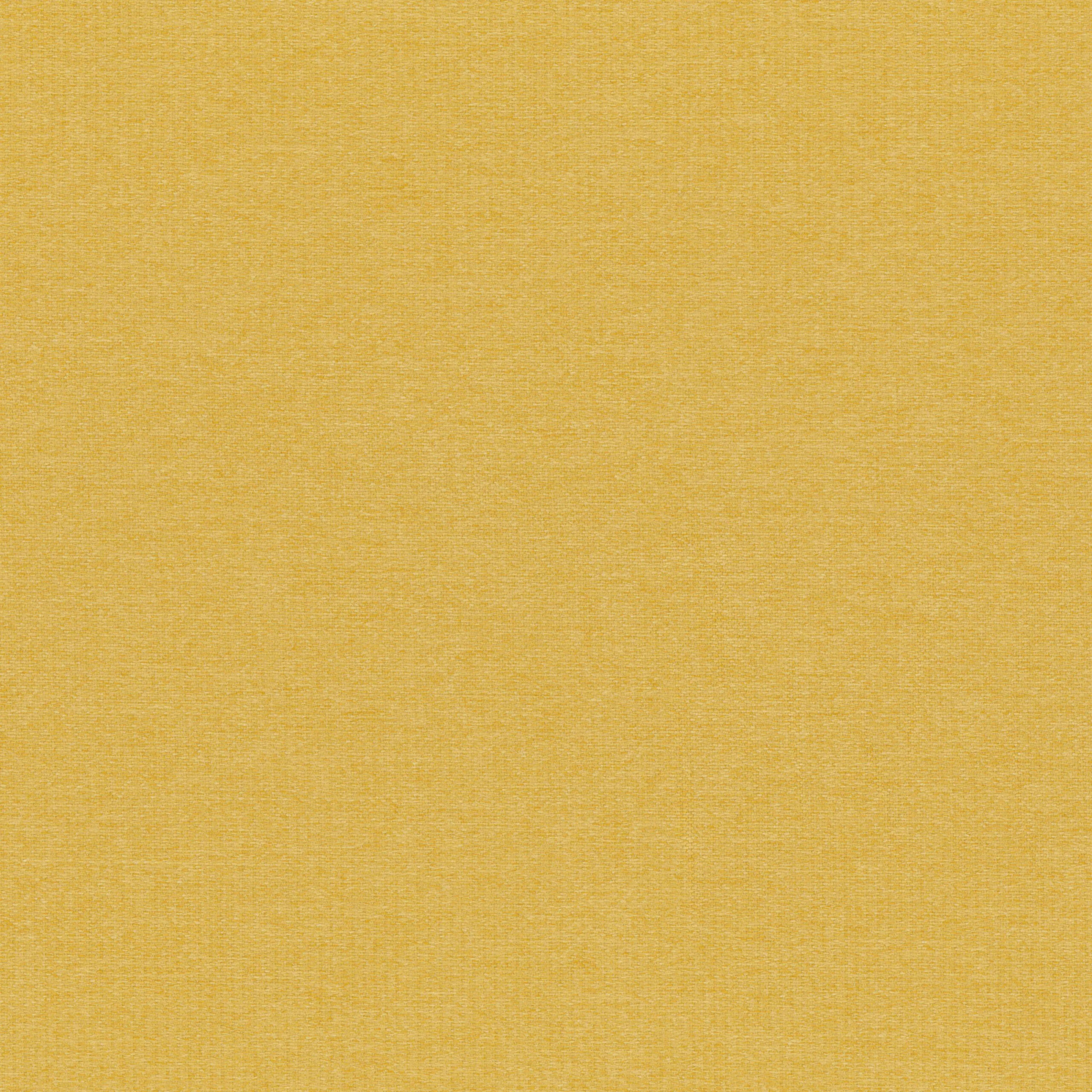 Ceylon Yellow 60 | Elara