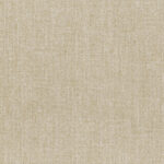 Island Fossil 02 | Elba