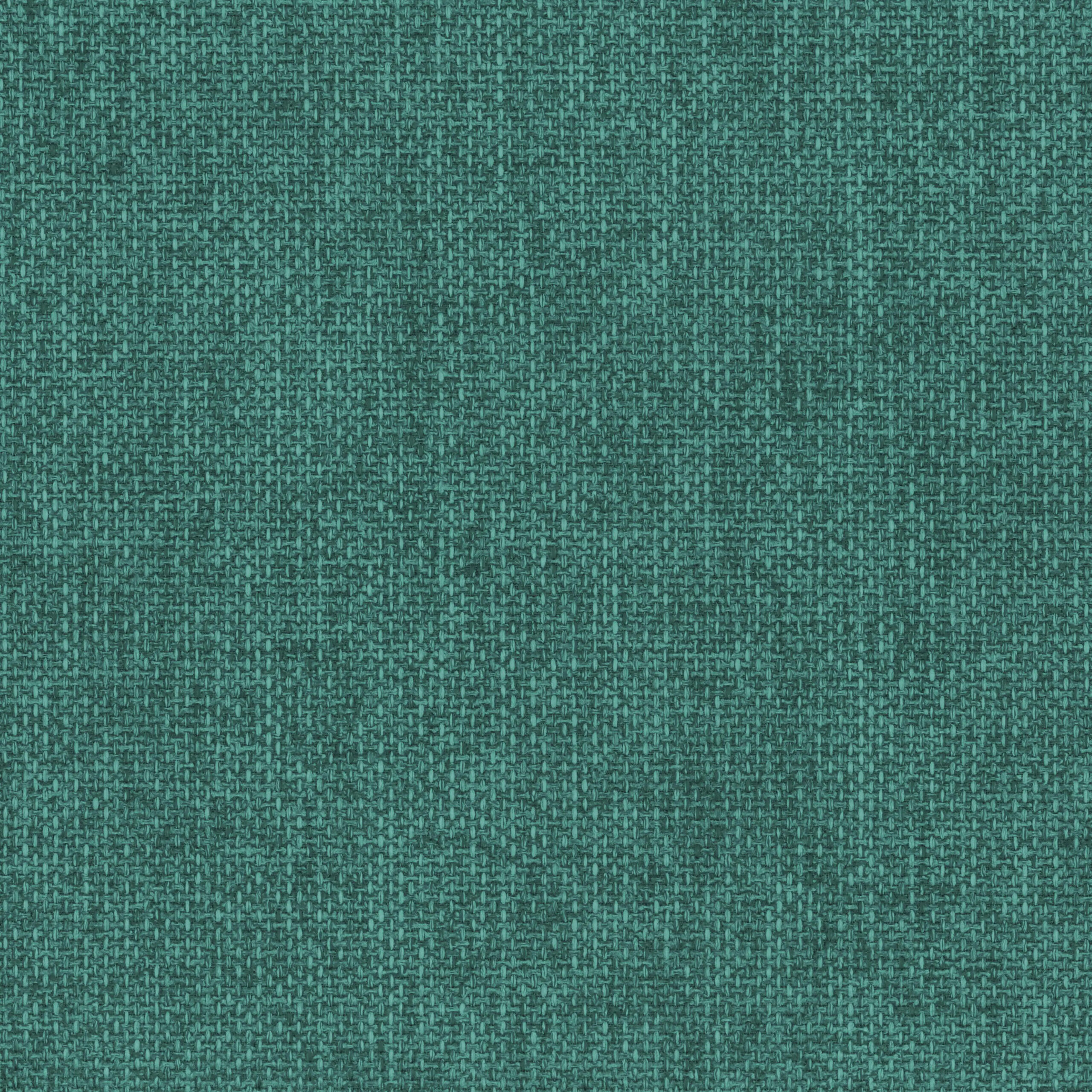Shaded Spruce 05 | Elba