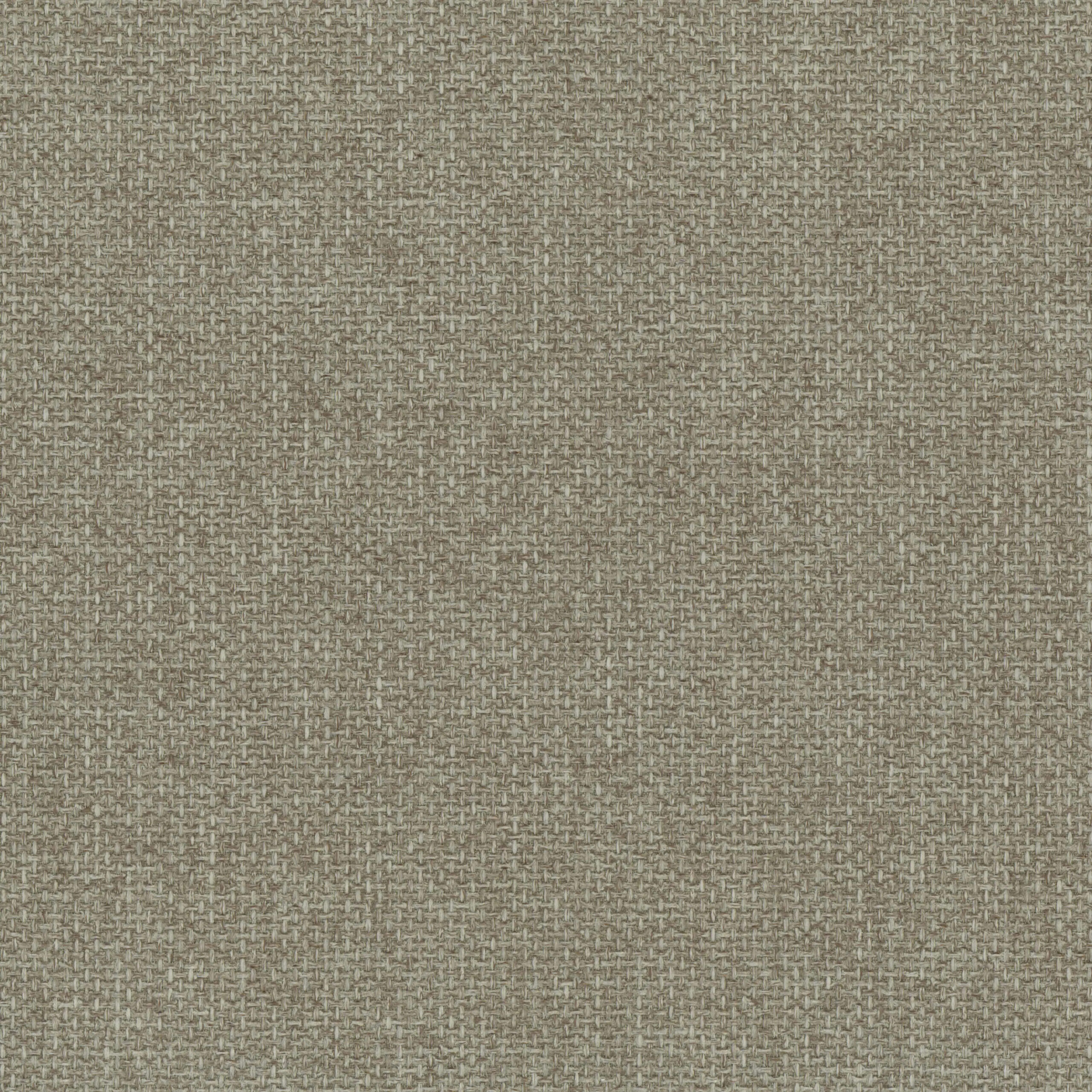 Brindle 10 | Elba