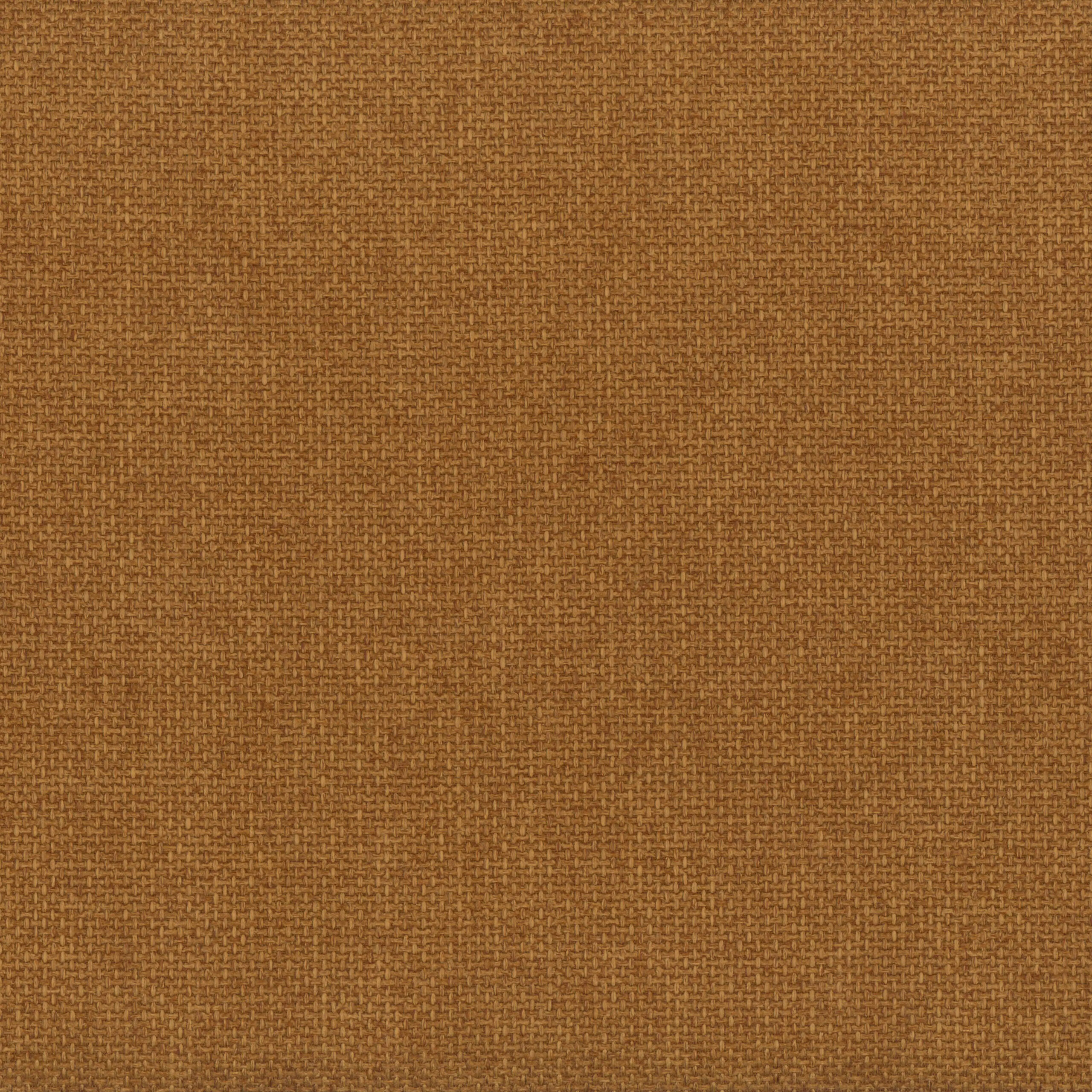 Mustard 11 | Elba