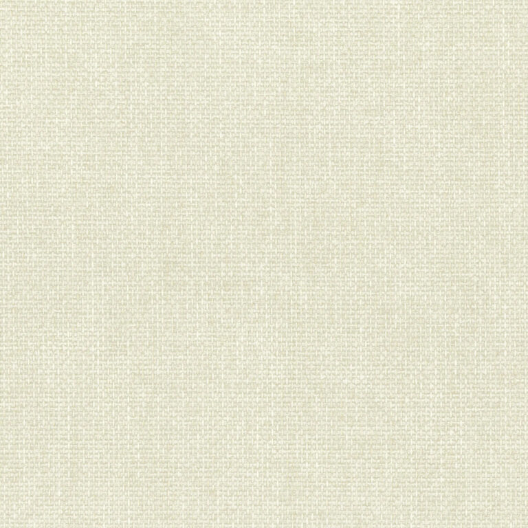 Light Gray 41