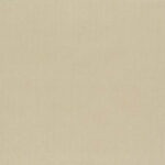 Ivory 25 | Elias