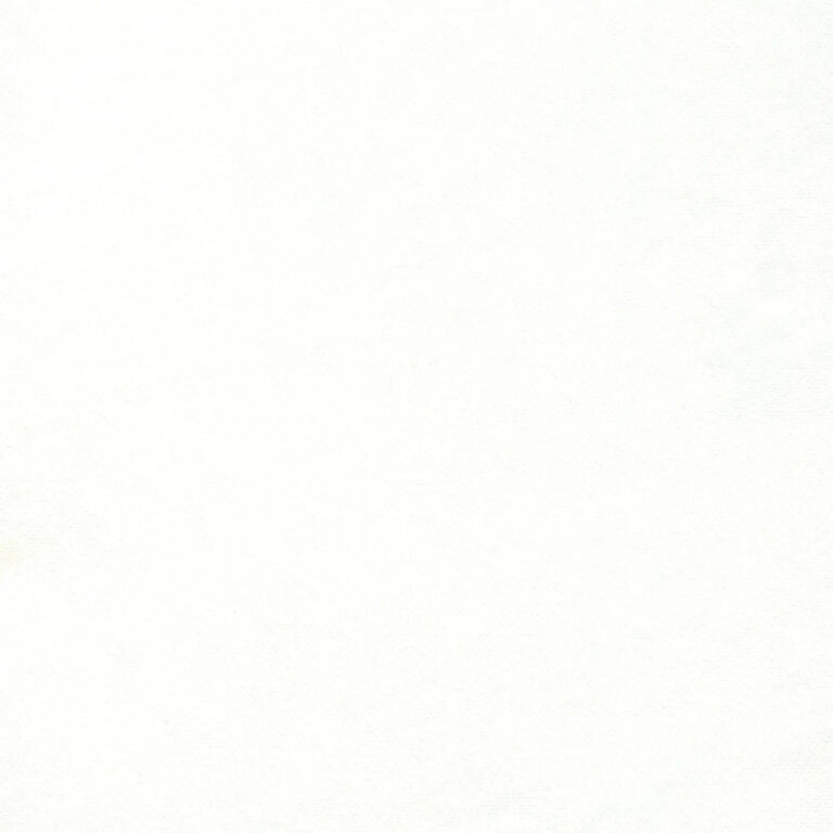 Snow 06