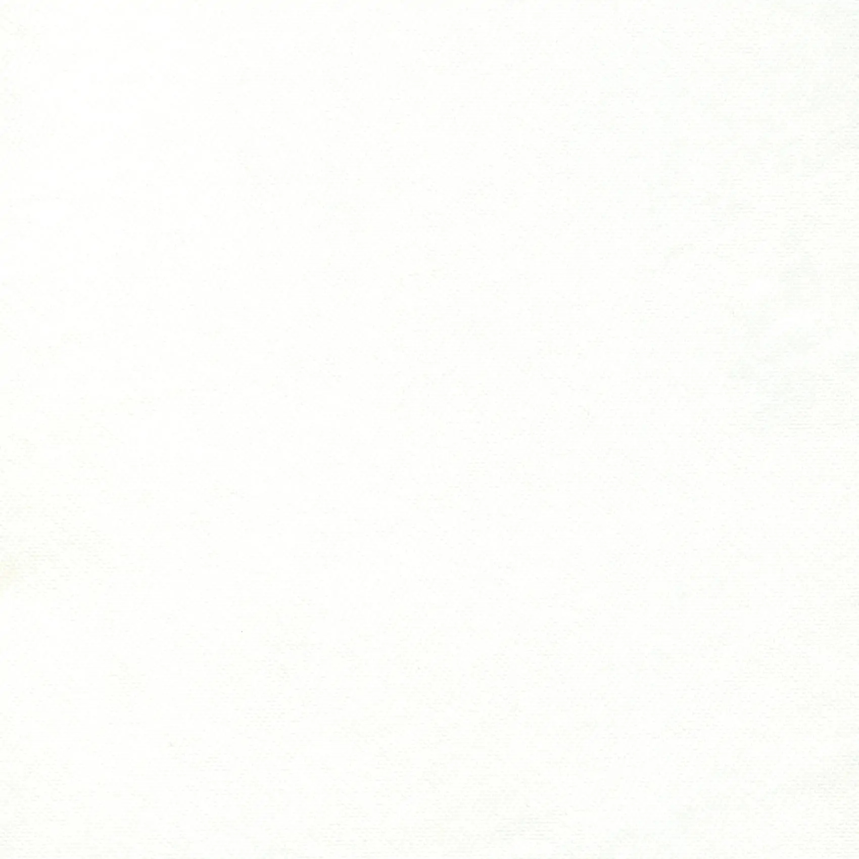 Snow 06 | Enzo