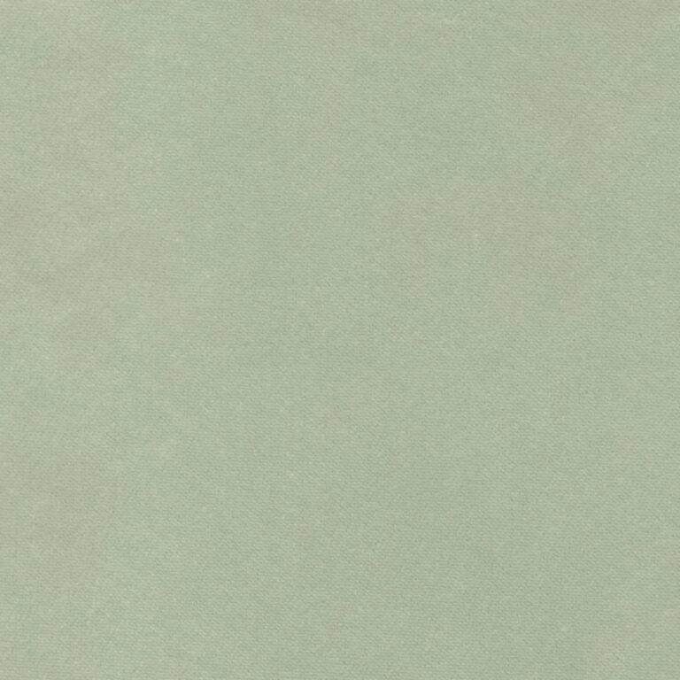 Mint 07