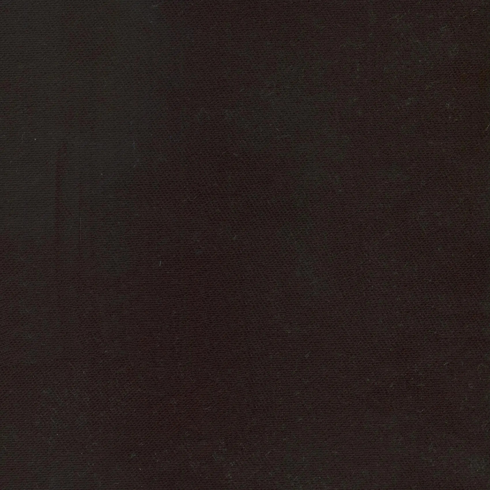 Pewter 16 | Enzo