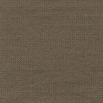 Bronze 10 | Esperanto