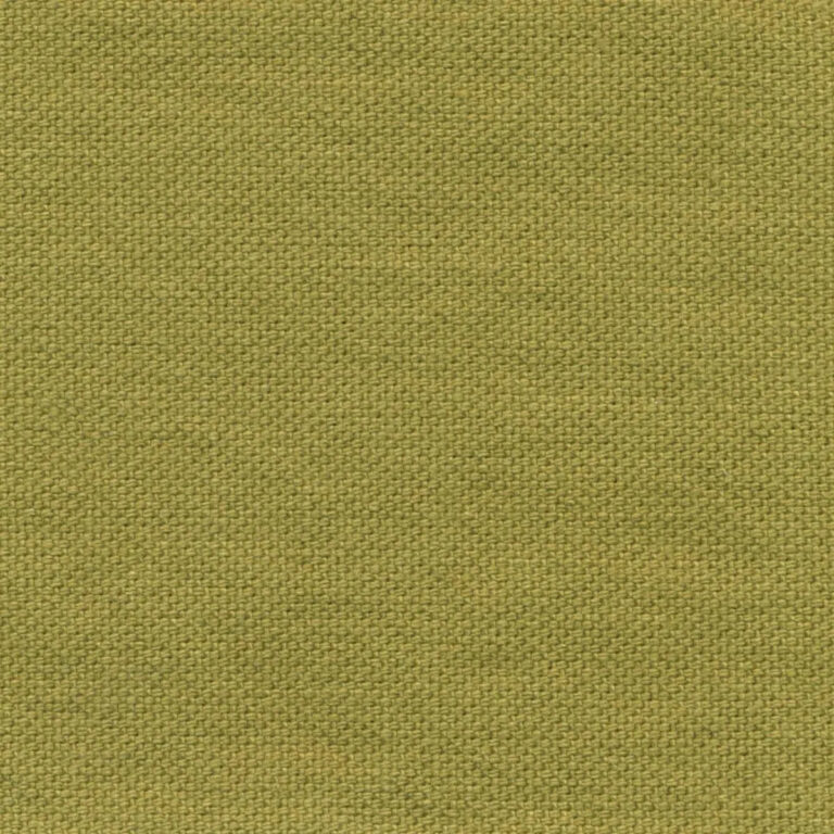 Bamboo 45