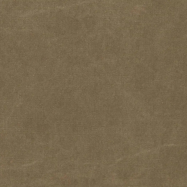 Olive 12