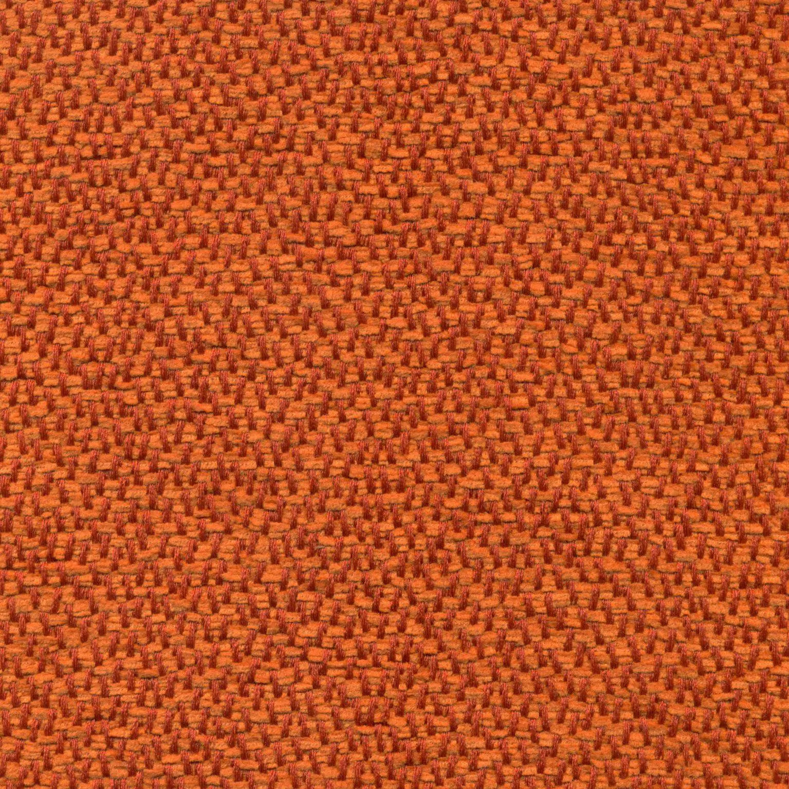Tangerine 05 | Faster