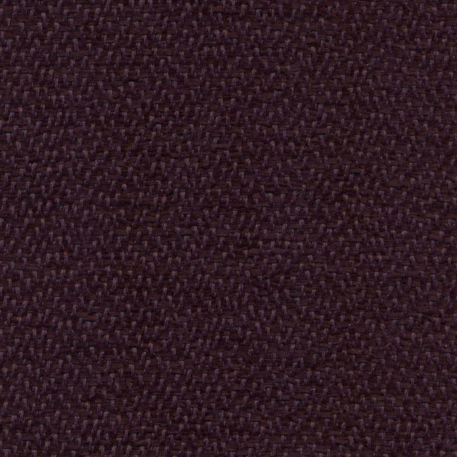 Plum 20 | Faster