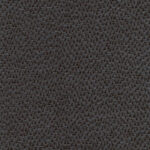 Chestnut 41 | Faster