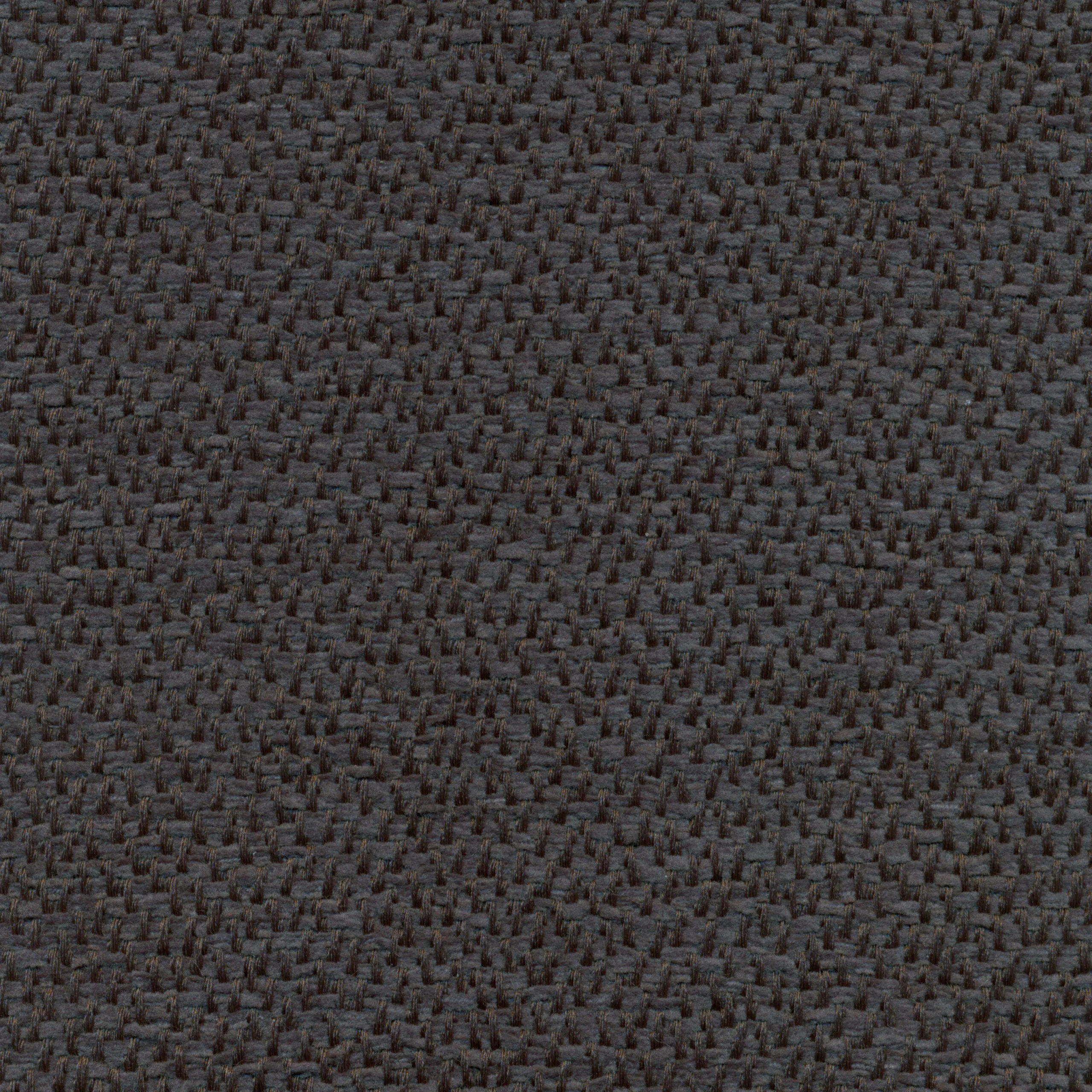 Chestnut 41 | Faster