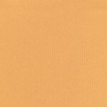 Apricot 132 | Fenix