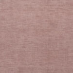 Misty Rose 20 | Fieno