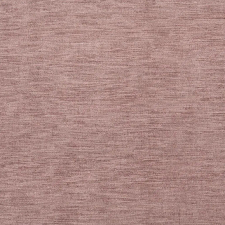 Misty Rose 20