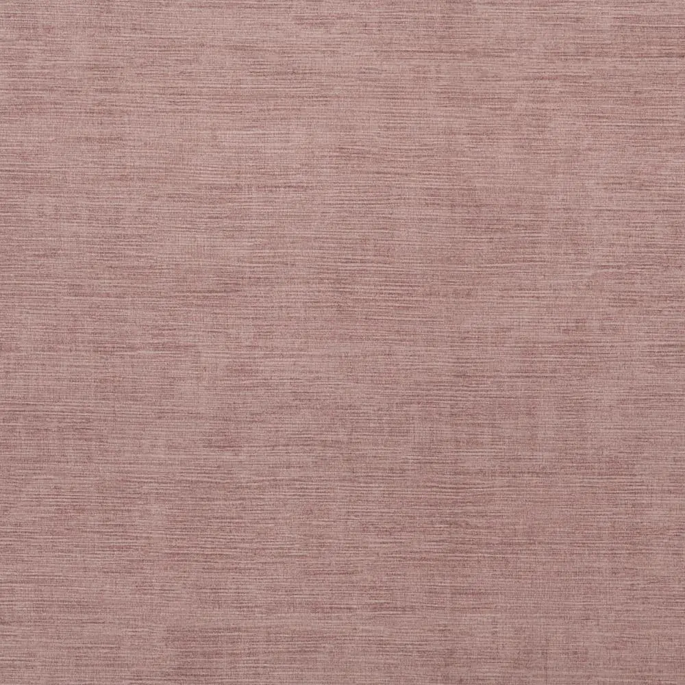 Misty Rose 20 | Fieno