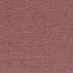 Crocus 701 | Figar