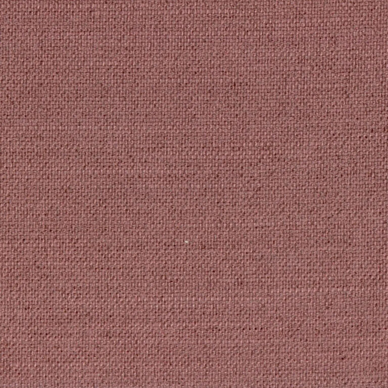 Crocus 701