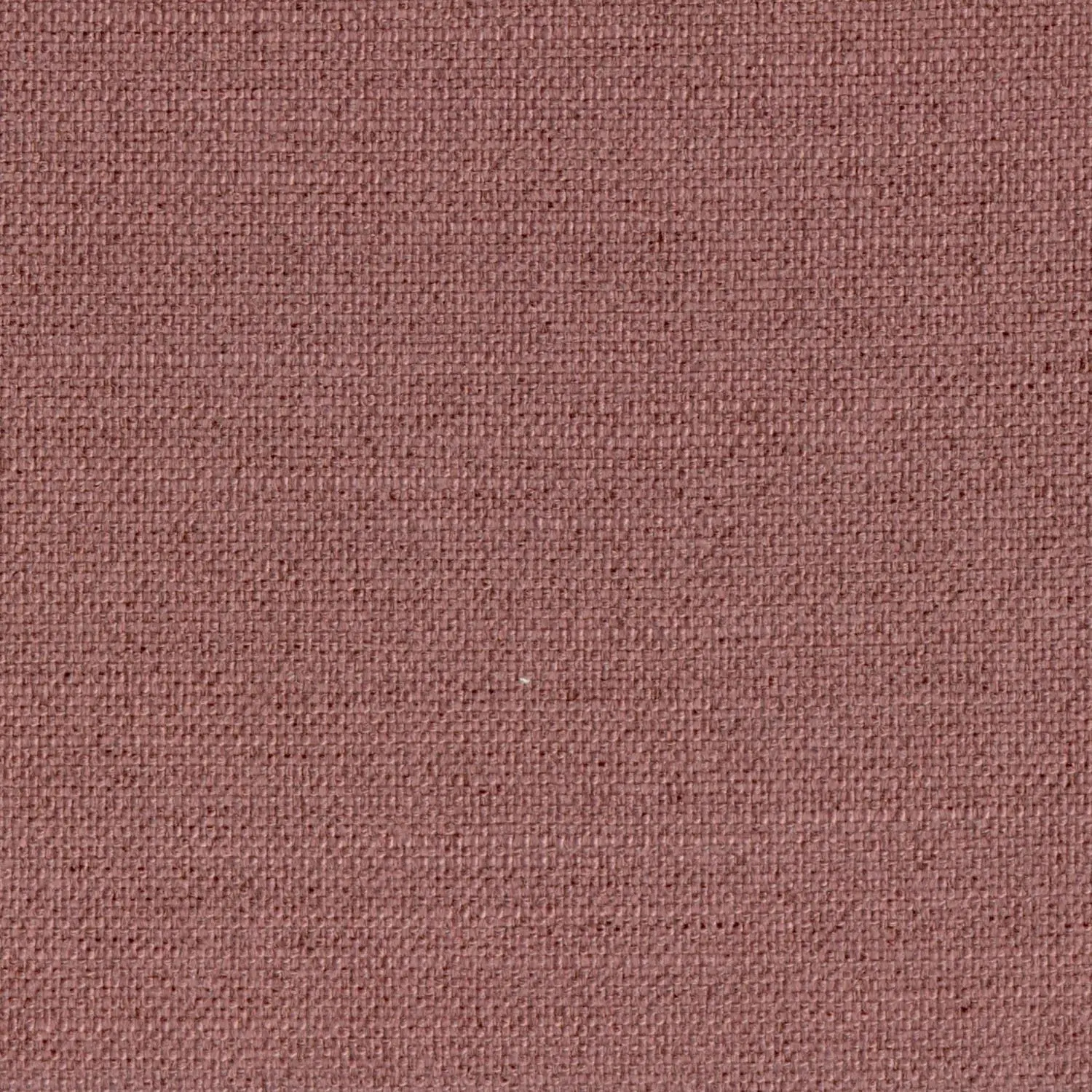 Crocus 701 | Figar