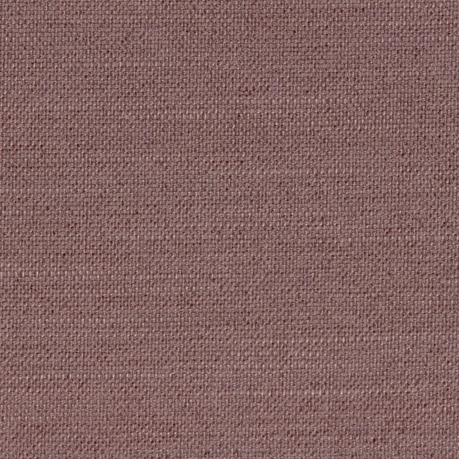 Magnolia 702 | Figar