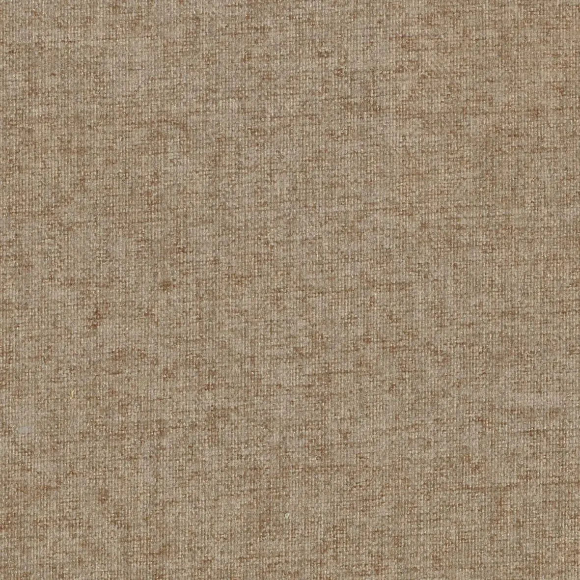Lightbrown 101 | Finley