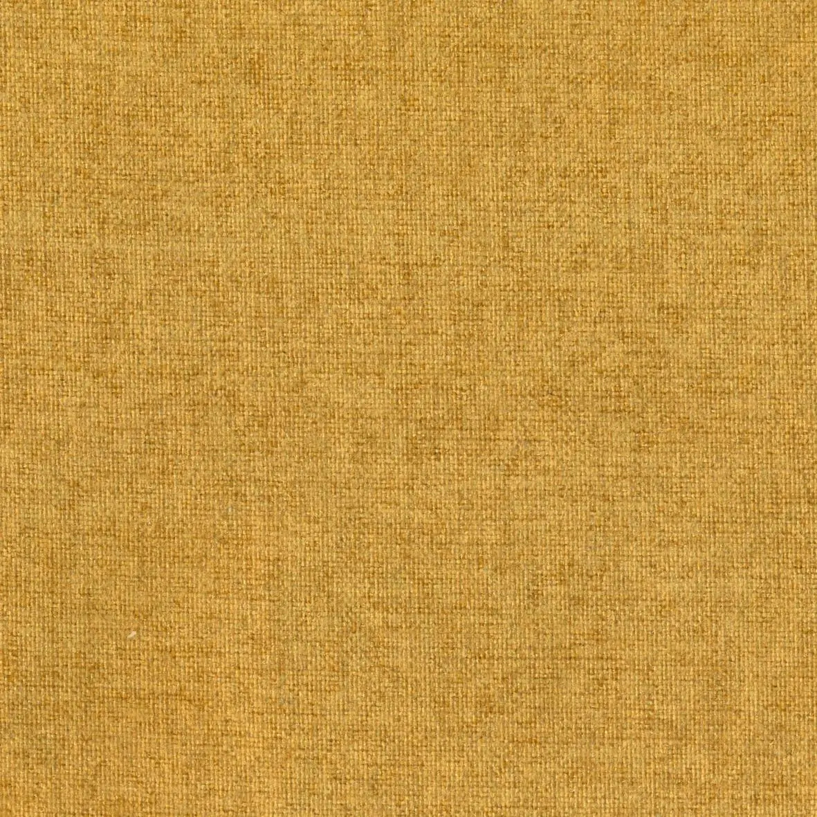 Gold 401 | Finley