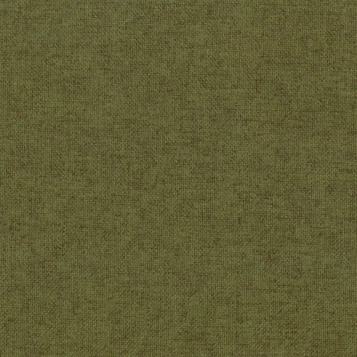 Olive 501 | Finley