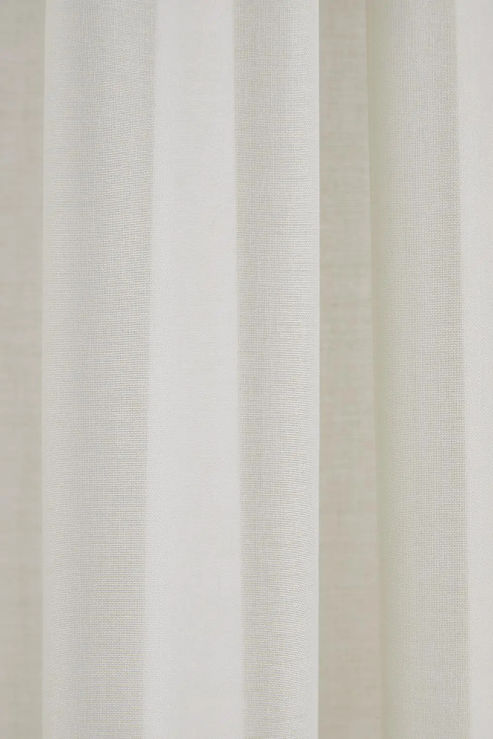 Gray Lilac 01 | Foga