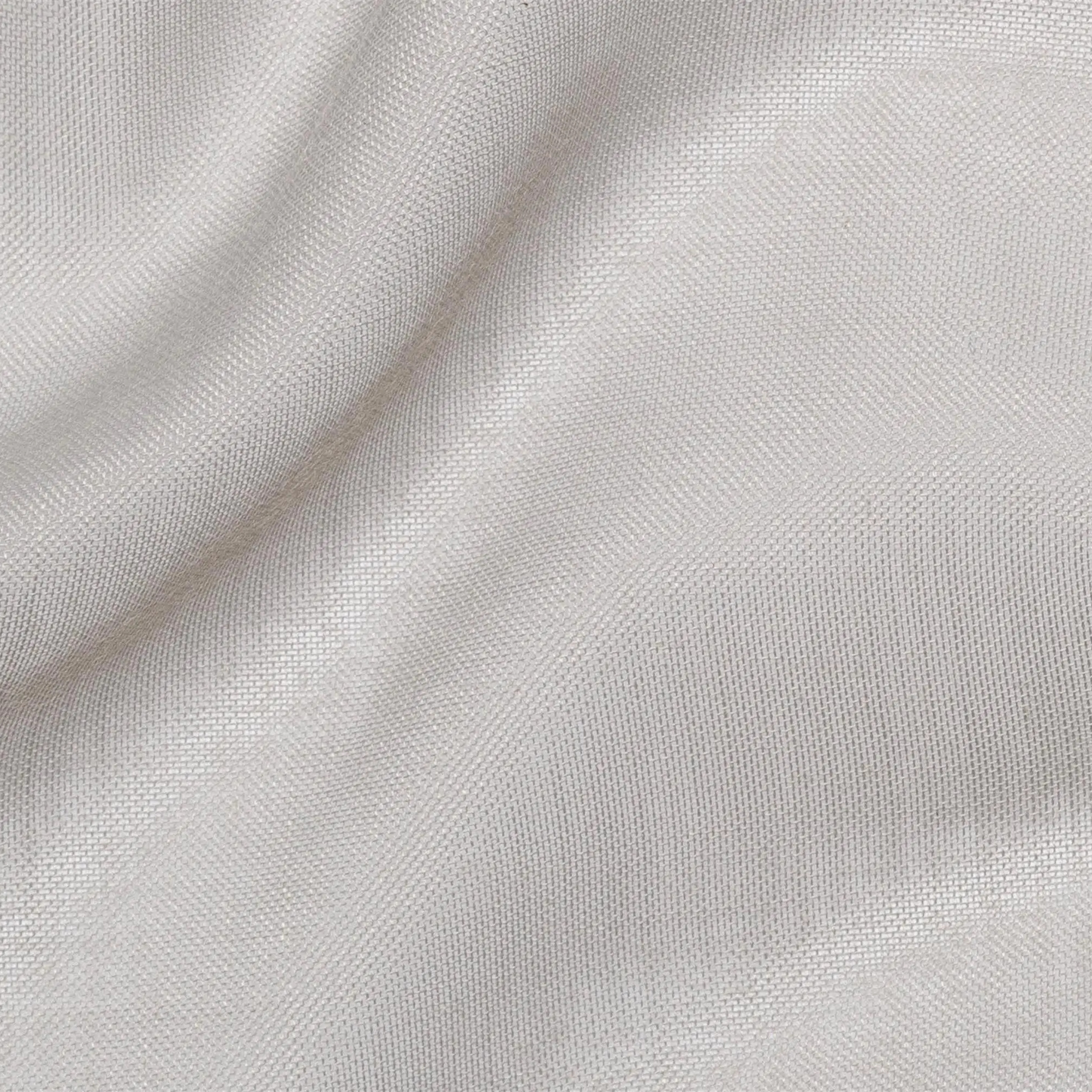 Paloma 15 | Foga