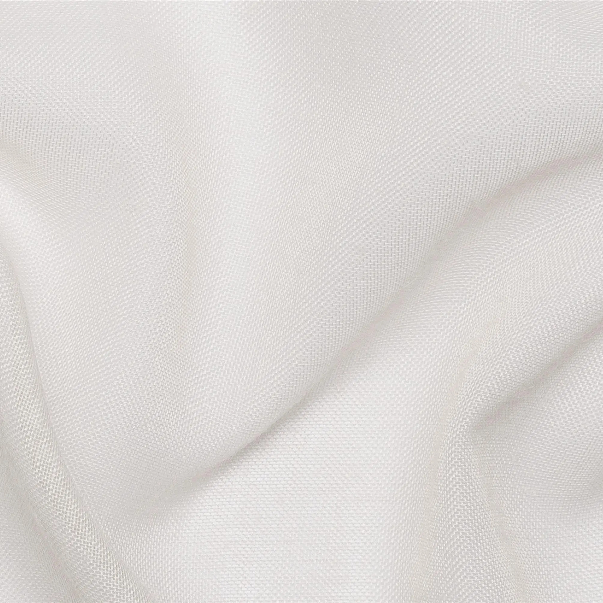 Moonbeam 18 | Foga