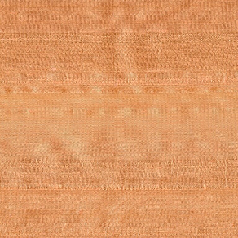 Coral 041
