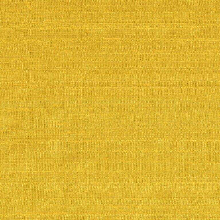Sunflower 057
