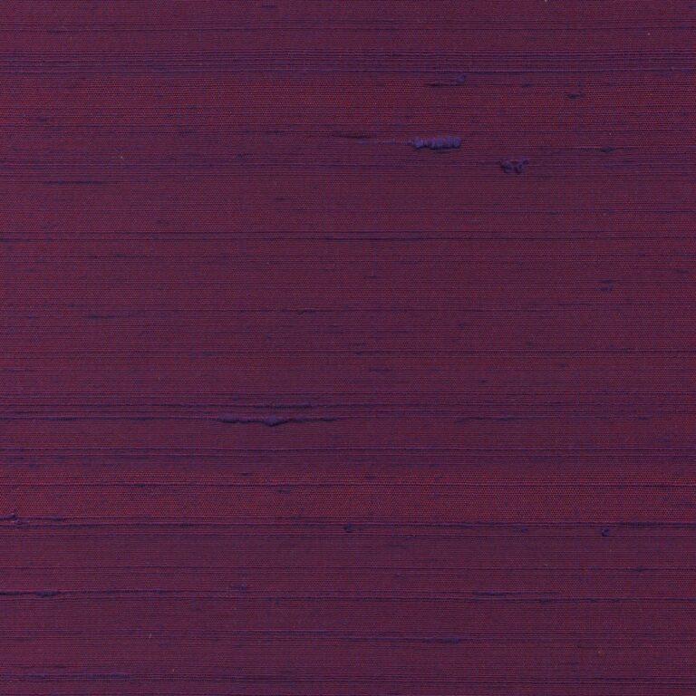 Eggplant 094