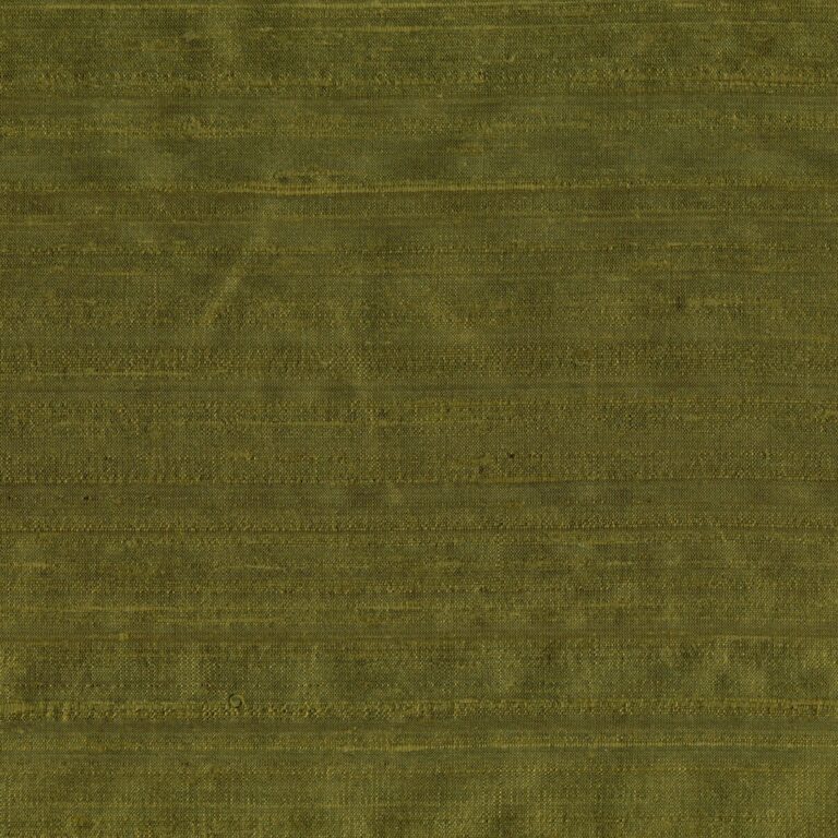 Olive 120