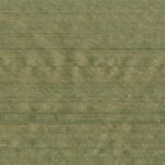 Sponge 131 | Fresh Silk