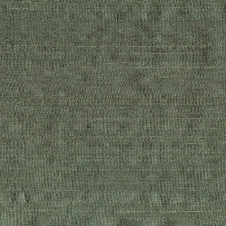 Lichen 133