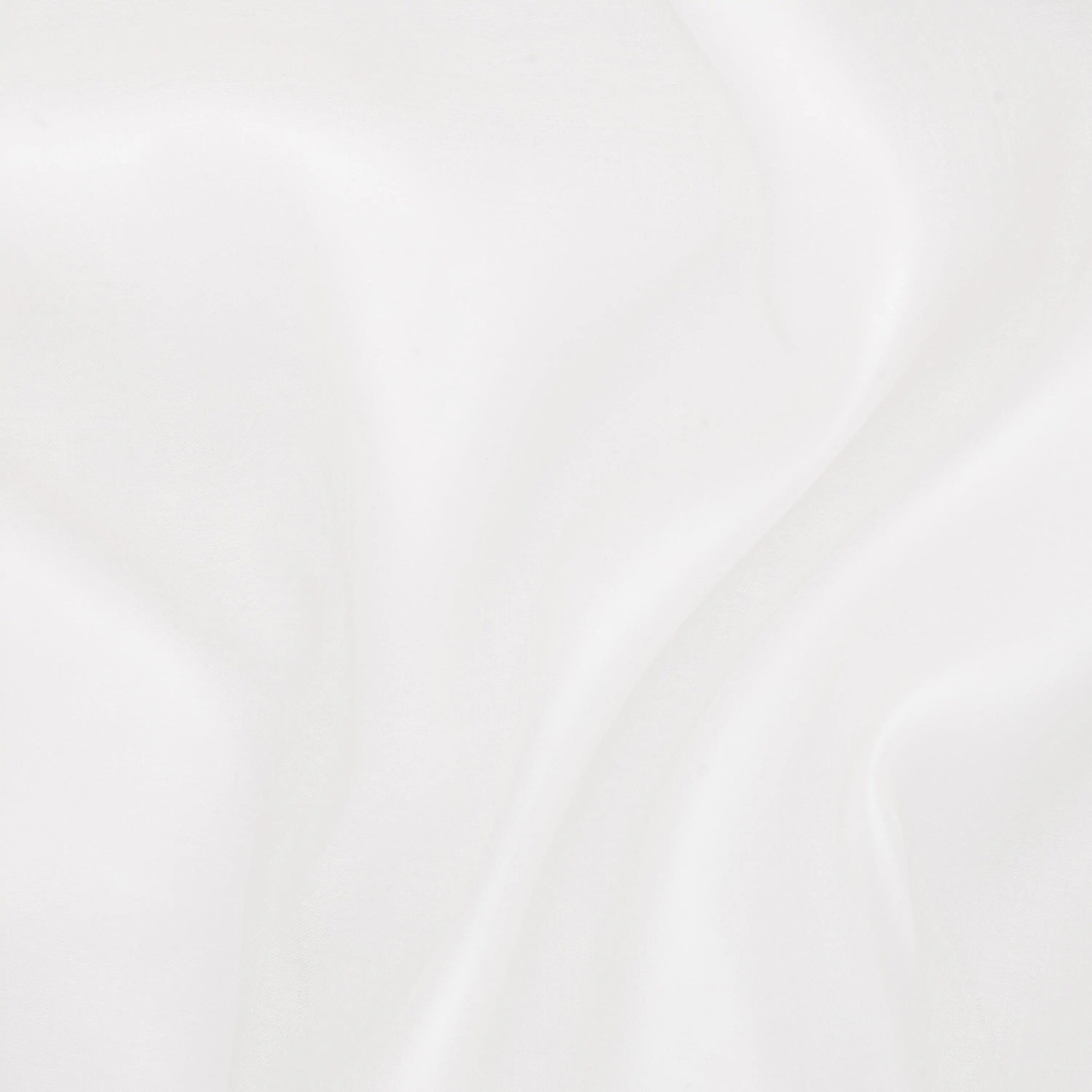 Coconut Milk 03 | Fumo