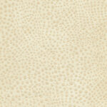 Sesame 01 | Gaspar