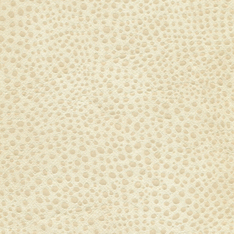 Sesame 01
