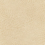 Beige 02 | Gaspar