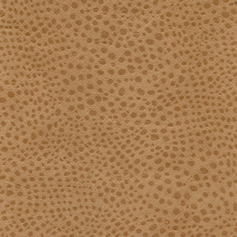 Roebuck 03
