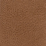 Cocoa 05 | Gaspar