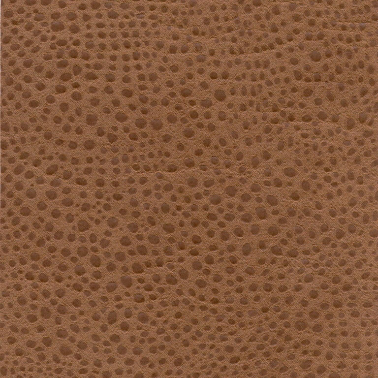 Cocoa 05
